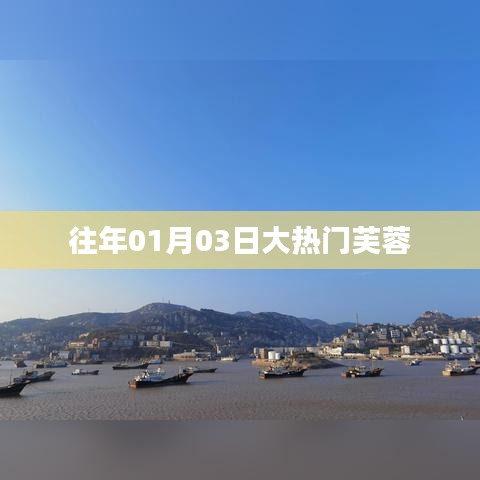 大热门芙蓉，揭秘历年一月三日盛况