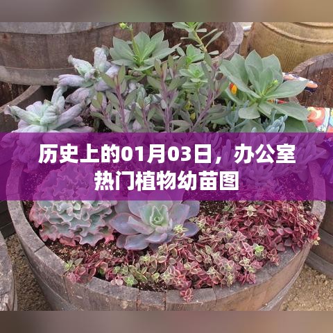 在线留言 第159页