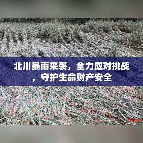 北川暴雨来袭，全力应对挑战，守护生命财产安全
