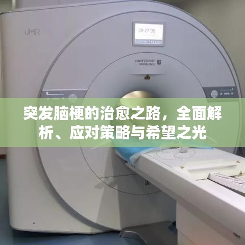 突发脑梗的治愈之路，全面解析、应对策略与希望之光