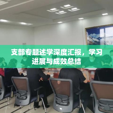 支部专题述学深度汇报，学习进展与成效总结