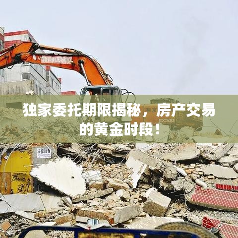 新闻资讯 第159页