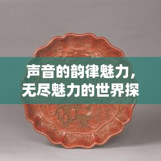 声音的韵律魅力，无尽魅力的世界探索
