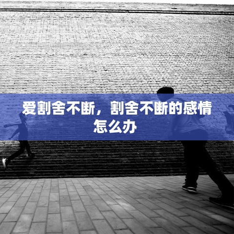 爱割舍不断，割舍不断的感情怎么办 