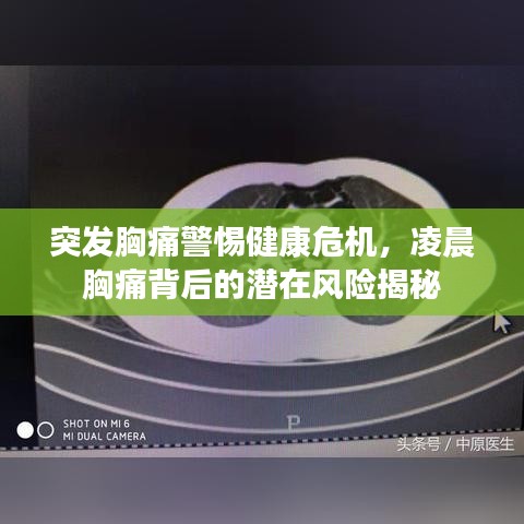 生张熟魏 第2页