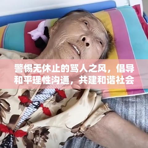 鸷鸟不群 第2页