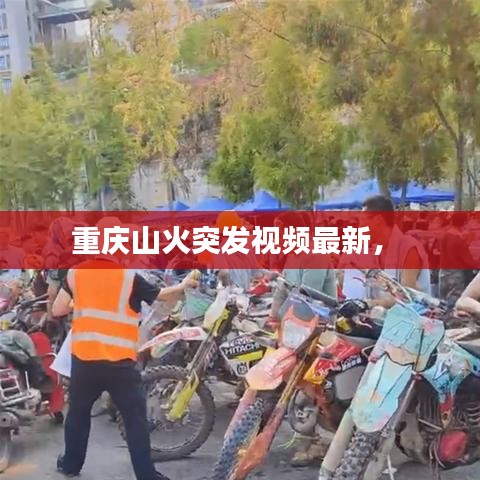 重庆山火突发视频最新， 