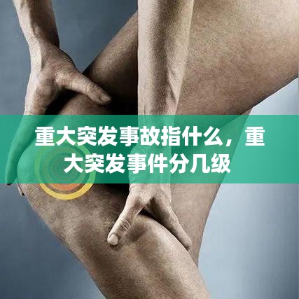 重大突发事故指什么，重大突发事件分几级 