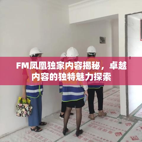 FM凤凰独家内容揭秘，卓越内容的独特魅力探索