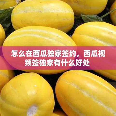 怎么在西瓜独家签约，西瓜视频签独家有什么好处 