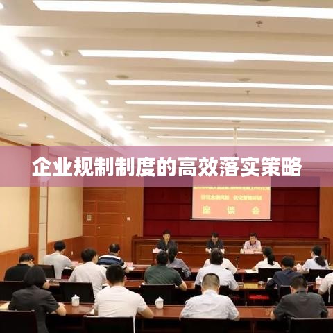 企业规制制度的高效落实策略