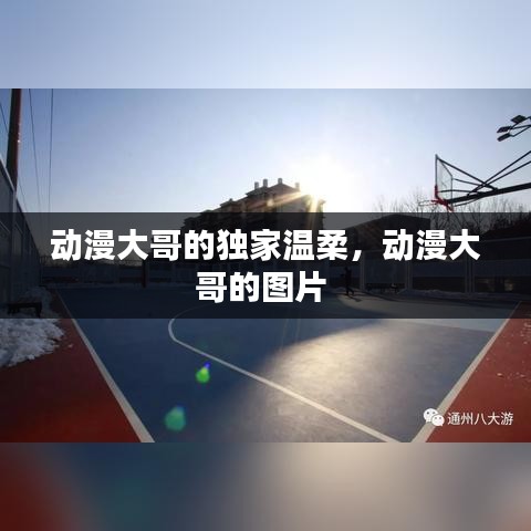 动漫大哥的独家温柔，动漫大哥的图片 