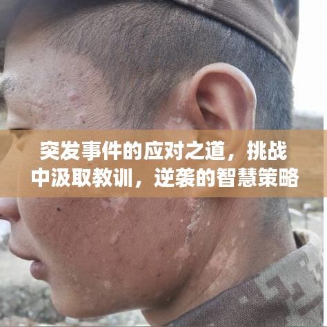 突发事件的应对之道，挑战中汲取教训，逆袭的智慧策略