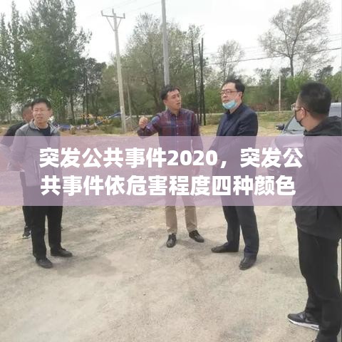 突发公共事件2020，突发公共事件依危害程度四种颜色 