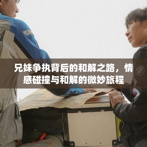 兄妹争执背后的和解之路，情感碰撞与和解的微妙旅程