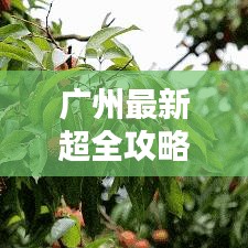 广州最新超全攻略手册，吃喝玩乐一网打尽！