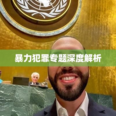 暴力犯罪专题深度解析