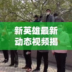新英雄最新动态视频揭秘，今日必看消息！