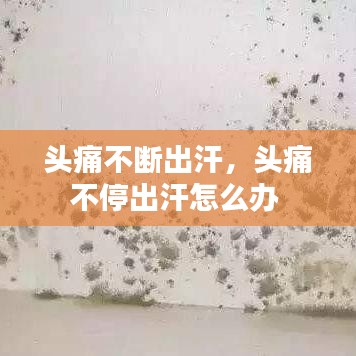 头痛不断出汗，头痛不停出汗怎么办 