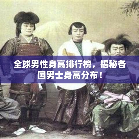 穷鸟入怀 第3页