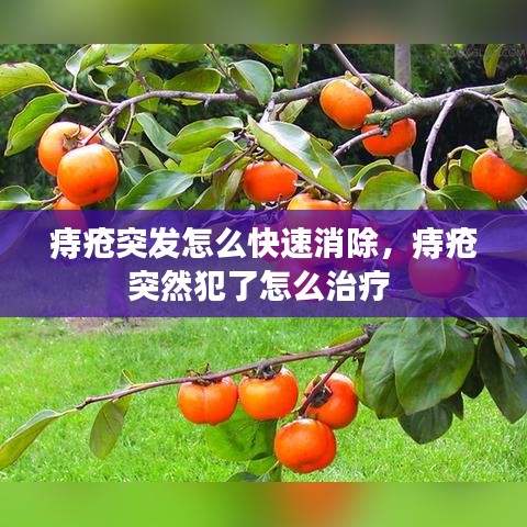 尘土飞扬 第2页