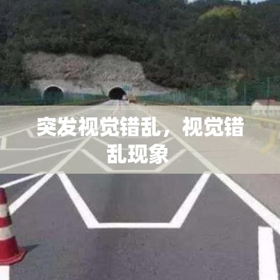 突发视觉错乱，视觉错乱现象 