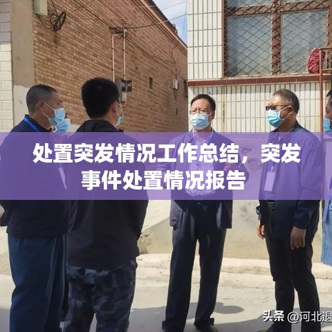 处置突发情况工作总结，突发事件处置情况报告 