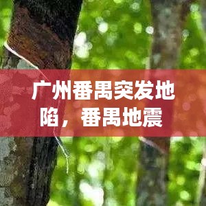 物以稀为贵 第2页