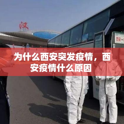 为什么西安突发疫情，西安疫情什么原因 