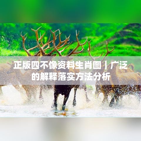 正版四不像资料生肖图｜广泛的解释落实方法分析