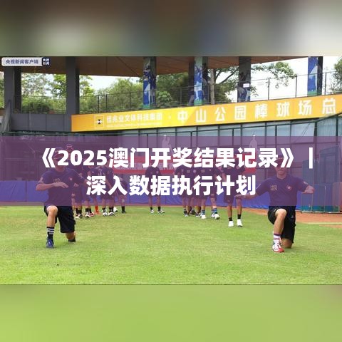 《2025澳门开奖结果记录》｜深入数据执行计划