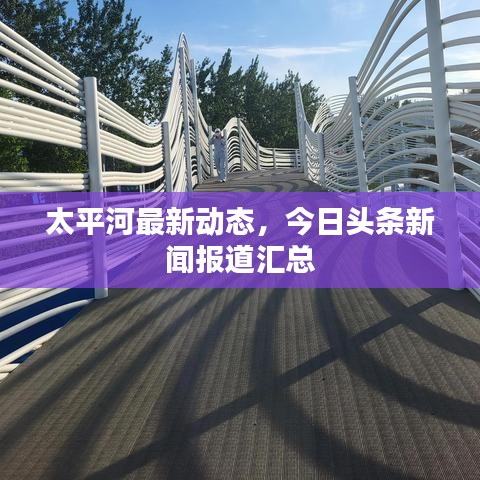 真独简贵 第3页