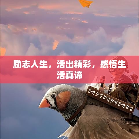 花容月貌 第2页