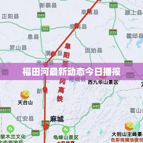 福田河最新动态今日播报