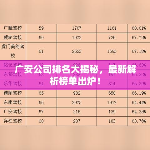 广安公司排名大揭秘，最新解析榜单出炉！