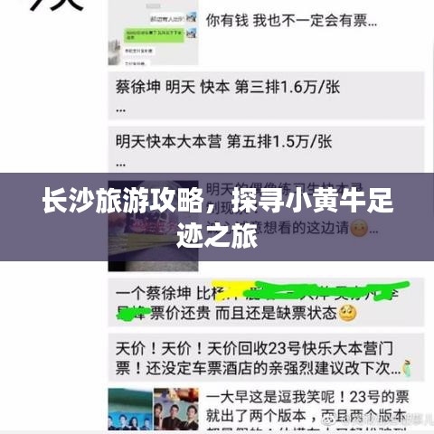长沙旅游攻略，探寻小黄牛足迹之旅