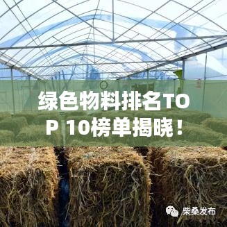 小家碧玉 第2页