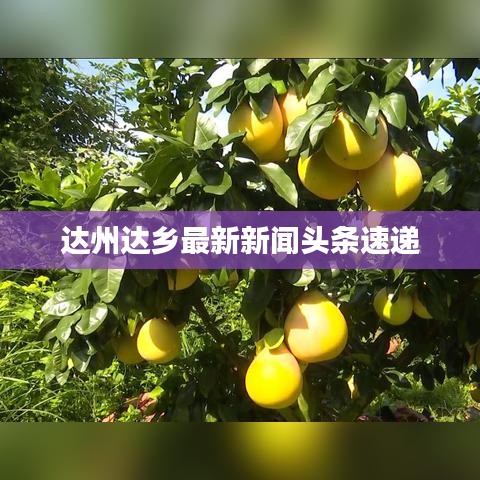 鸟语蝉鸣 第3页