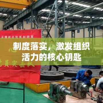制度落实，激发组织活力的核心钥匙