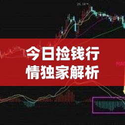 衣不兼采 第3页