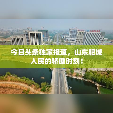 采椽不斫 第2页