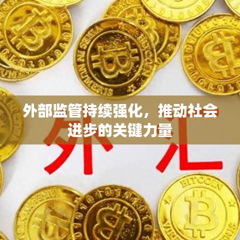 外部监管持续强化，推动社会进步的关键力量