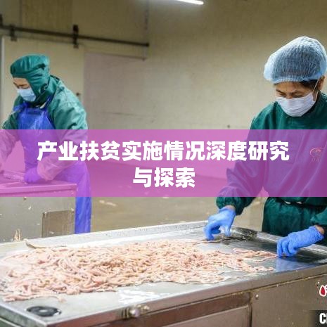 产业扶贫实施情况深度研究与探索