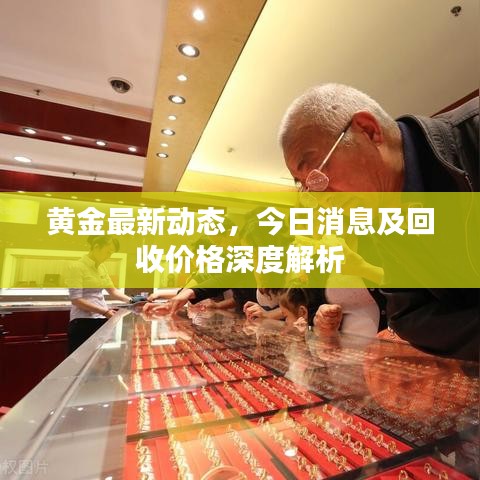 飞潜动植 第2页