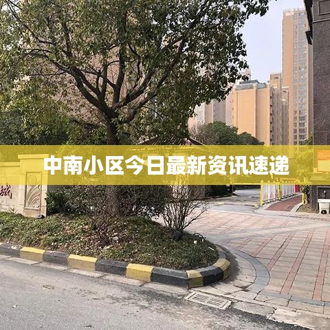 中南小区今日最新资讯速递