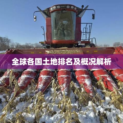 张王李赵 第2页
