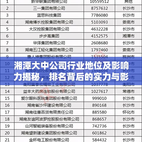 湘潭大中公司行业地位及影响力揭秘，排名背后的实力与影响力分析