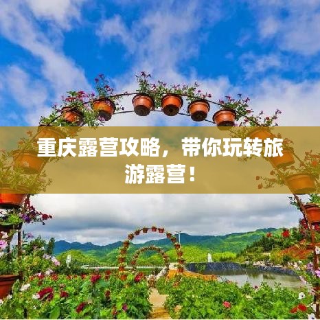 展翅高飞 第2页