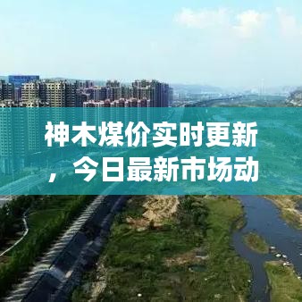 飞珠溅玉 第2页