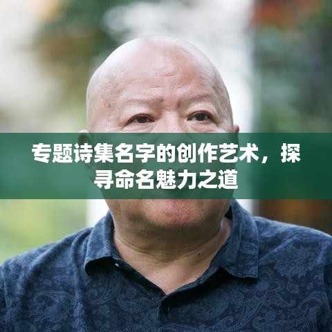 专题诗集名字的创作艺术，探寻命名魅力之道